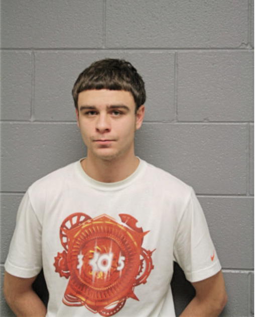 JAVIER A TORRES, Cook County, Illinois