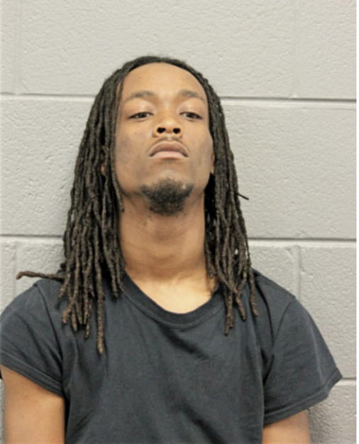 STEVEN D WEBB, Cook County, Illinois