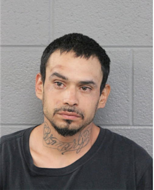 OSMAR DIDIER ALEJO, Cook County, Illinois