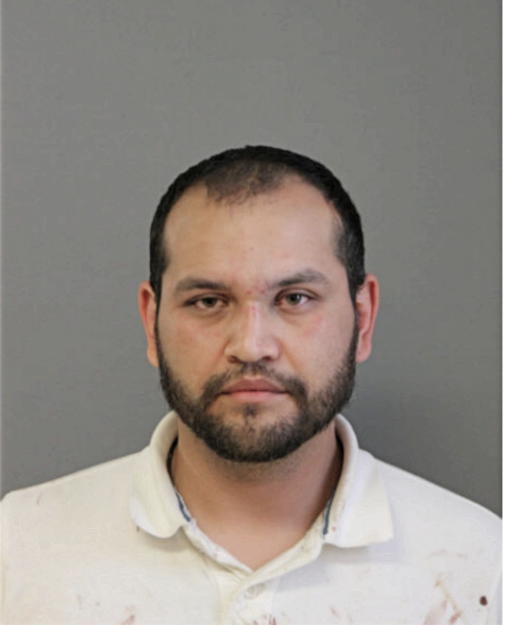 GERARDO D BERNALDEZ, Cook County, Illinois