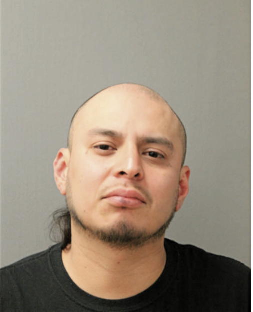 MIGUEL A BOYAS, Cook County, Illinois