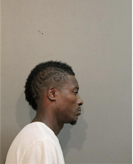 ANDREW D DAVIS, Cook County, Illinois