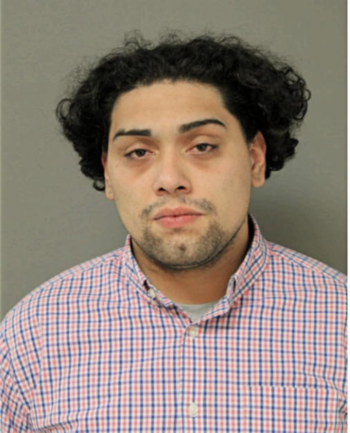 DAVID L FOSTER, Cook County, Illinois