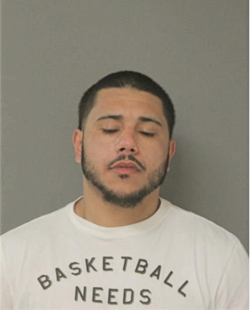 MICHAEL A GEIGEL, Cook County, Illinois