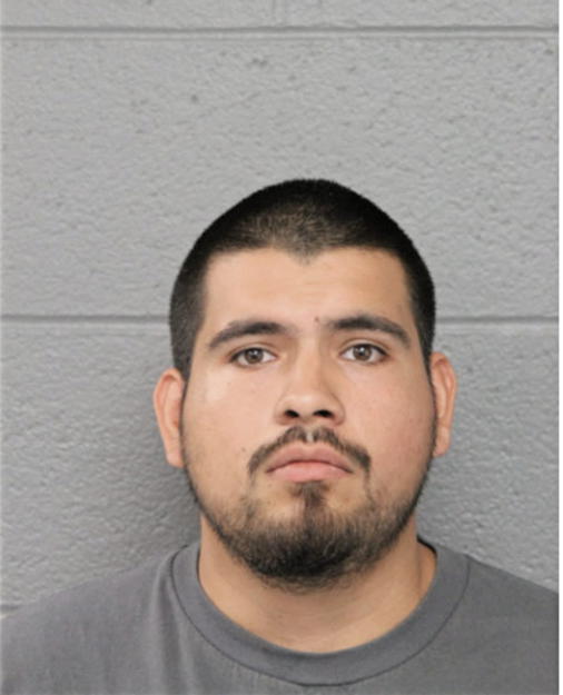 ERIC S GUERECA, Cook County, Illinois