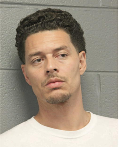 DAVID J HEIRMAN, Cook County, Illinois