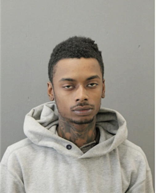 WILLIAM T HERBERT, Cook County, Illinois