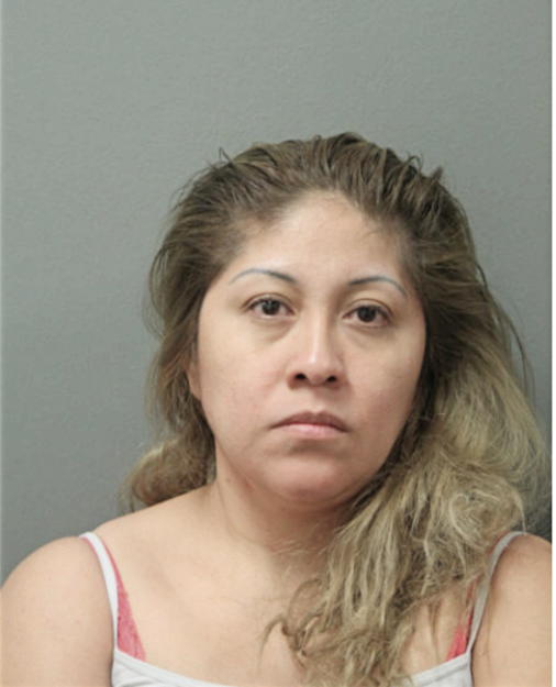 MARIA L HERNANDEZ, Cook County, Illinois