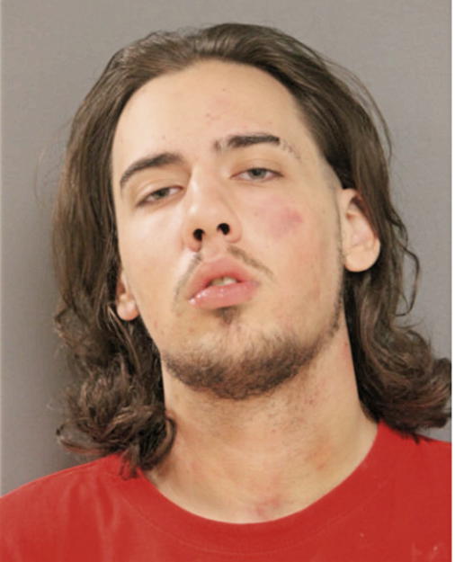 IAN JOHNSON, Cook County, Illinois