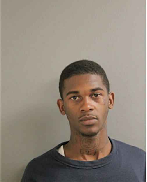 TION LEWIS, Cook County, Illinois