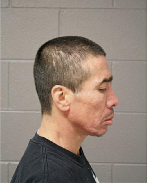 MANUEL LOBES, Cook County, Illinois