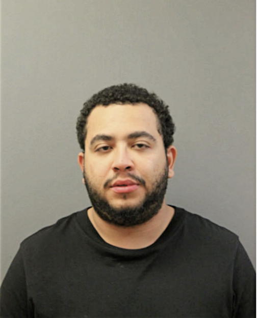 ERIC JR MAGEE, Cook County, Illinois