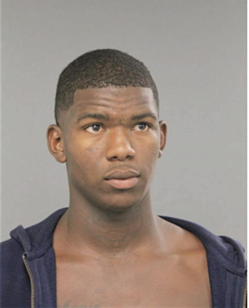 MICHAEL S MAHONE, Cook County, Illinois