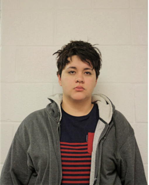 MAYRA E MENDOZA, Cook County, Illinois