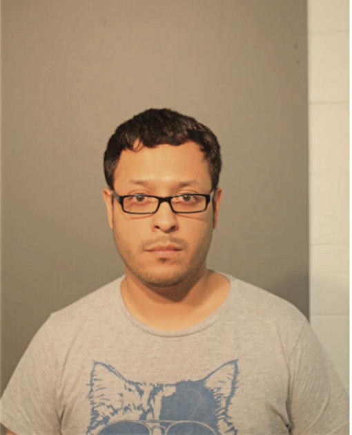 LUIS A MERCADO, Cook County, Illinois