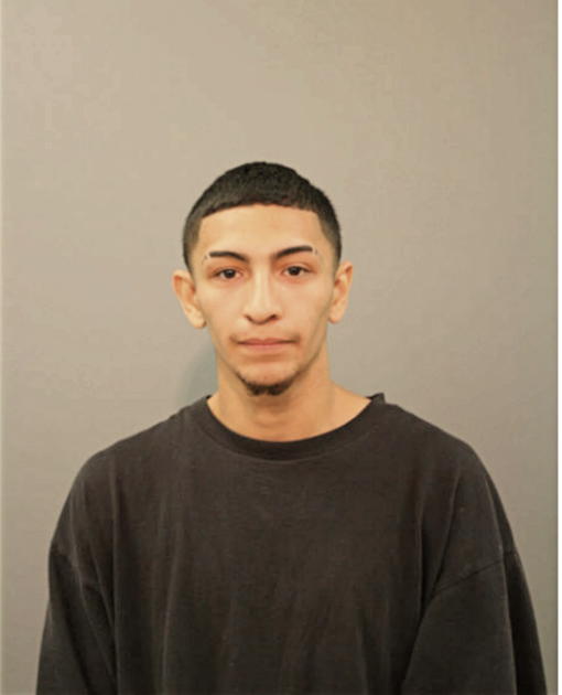 RICARDO MORALES, Cook County, Illinois