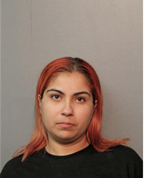 JASMINE NIEVES, Cook County, Illinois