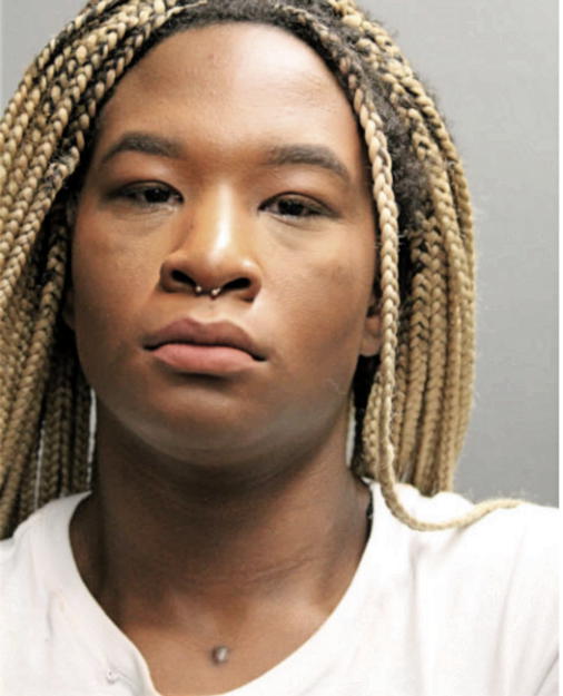 VANESSA ROSE, Cook County, Illinois