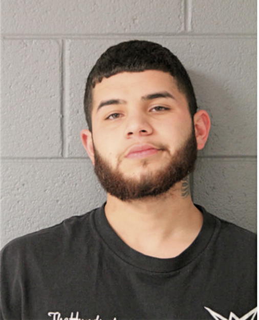 RAFAEL S SALINAS, Cook County, Illinois