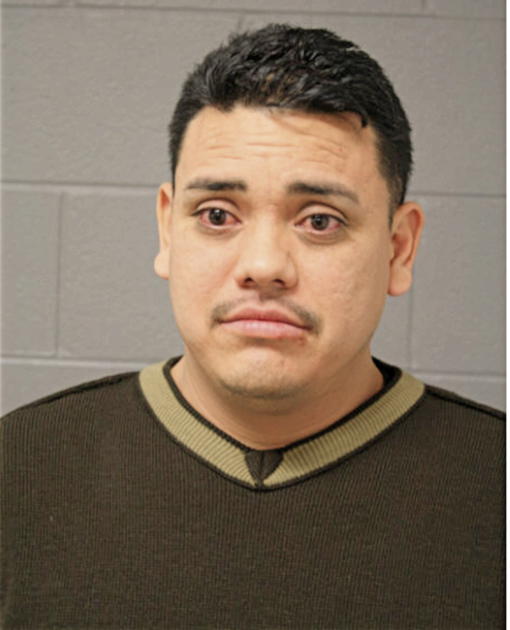 CESAR S SOTO, Cook County, Illinois