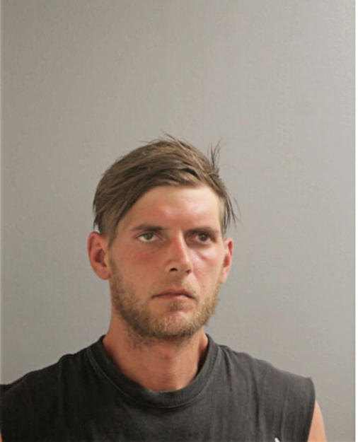 PETER E STRAUS, Cook County, Illinois