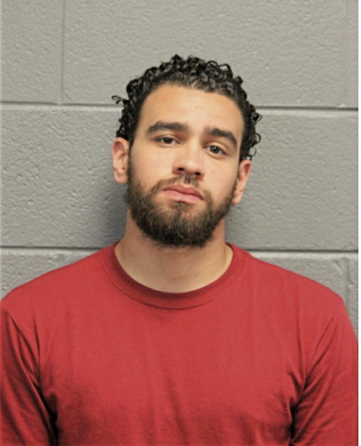 JUSTIN J VILLARINY, Cook County, Illinois