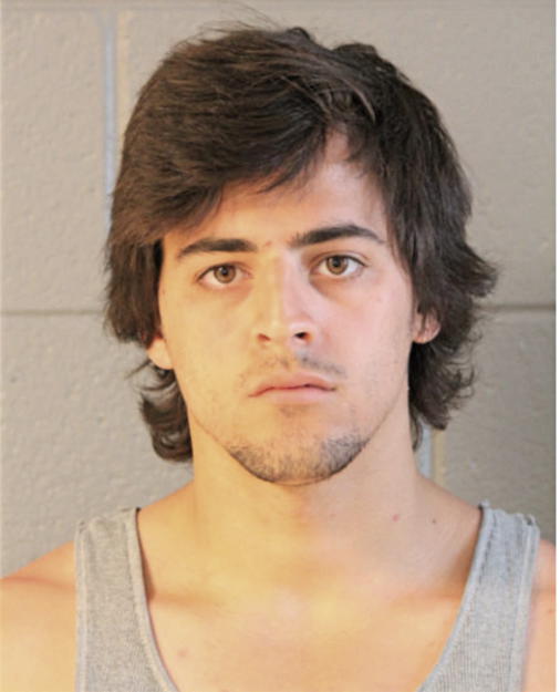MICHAEL VORKAPIC, Cook County, Illinois