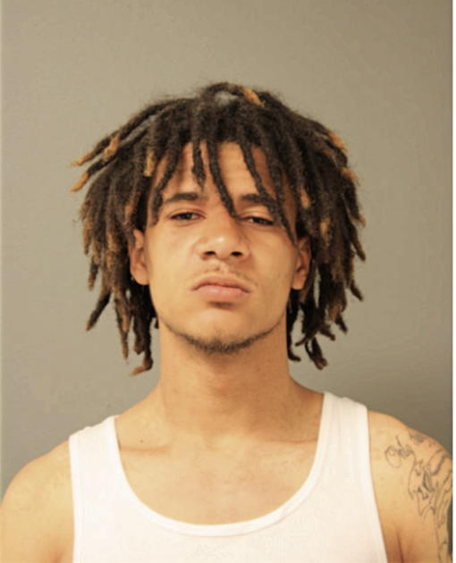 DANIEL A BANKS, Cook County, Illinois