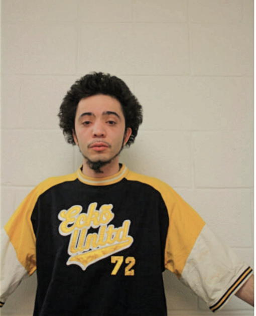 LEONARDO FERNANDEZ, Cook County, Illinois