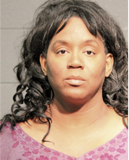 ERICA R FLETCHER, Cook County, Illinois