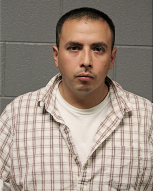 JOSE P GARCIA, Cook County, Illinois