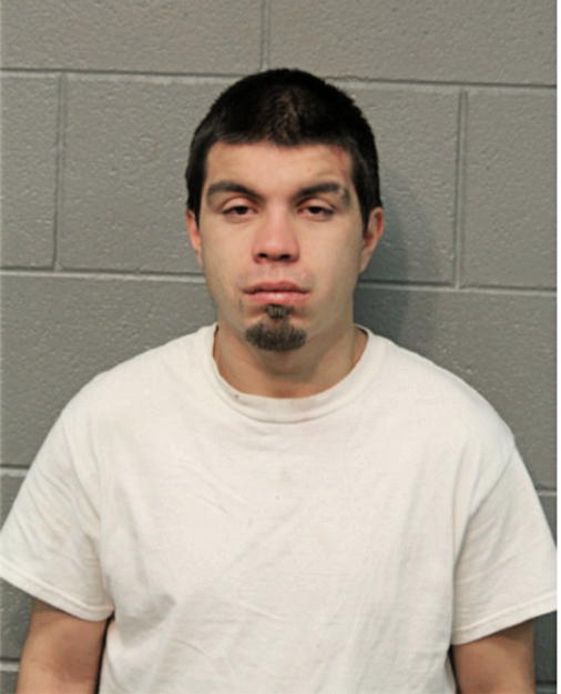RYAN J GARCIA, Cook County, Illinois