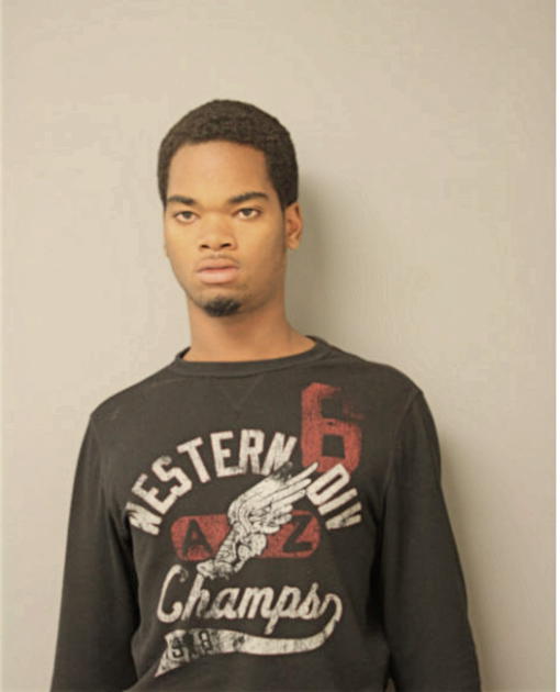 GLENN R HANKINS, Cook County, Illinois