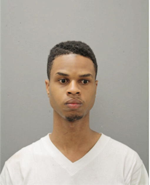 DENIKKO J JOHNSON, Cook County, Illinois