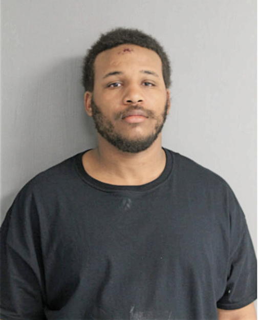 JEROME J LUCIOUS, Cook County, Illinois