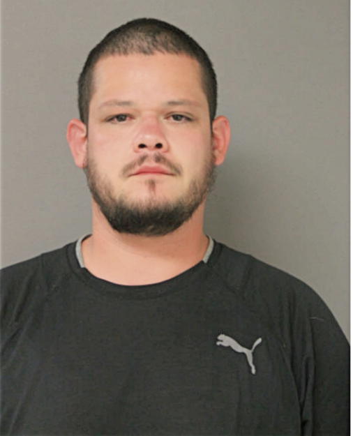 DEMETRIO MENDOZA, Cook County, Illinois
