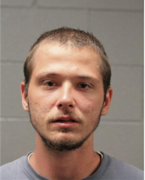 TERRY L MIKKELSON, Cook County, Illinois