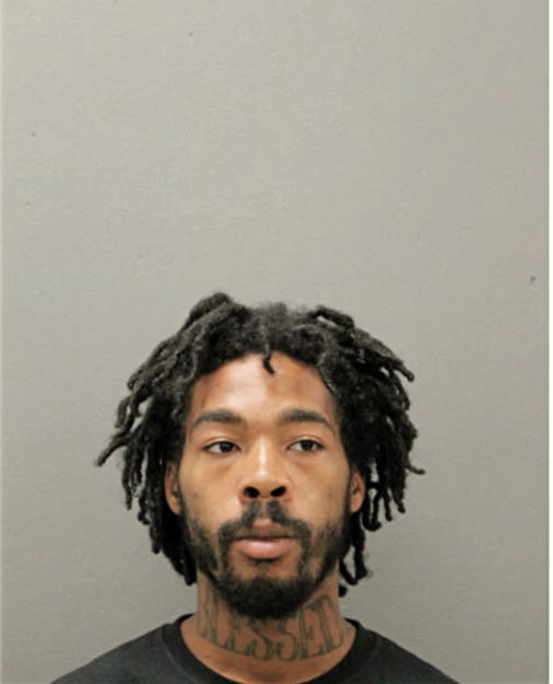 BRYAN P MOSLEY, Cook County, Illinois