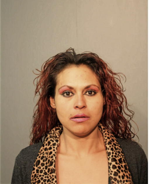 MAVIS NUNEZ, Cook County, Illinois
