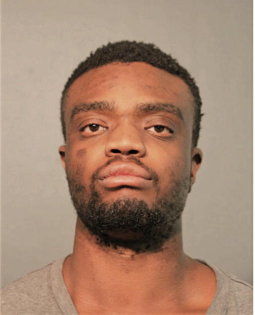 ABRAHAM J OLOYEDE, Cook County, Illinois