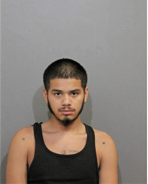 ISMAEL A QUINONES, Cook County, Illinois