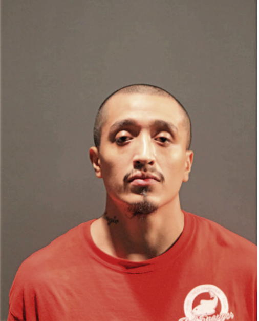 MIGUEL A REBOLLAR, Cook County, Illinois