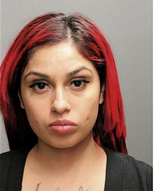 ARIANNA RIVERA, Cook County, Illinois