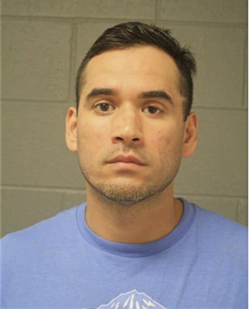 SALVADOR J RIVERA, Cook County, Illinois