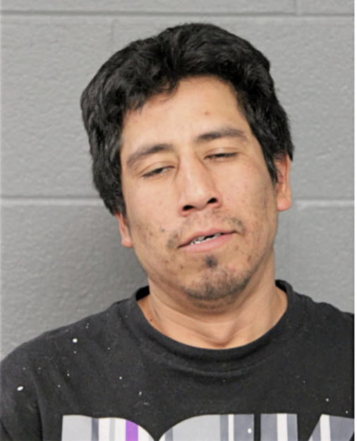 LEOBARDO ROSALES, Cook County, Illinois