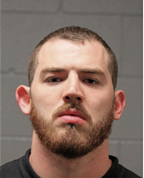BRIAN STAFFORD, Cook County, Illinois