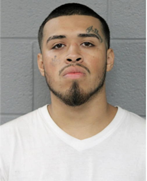 ALEXANDER TORRES, Cook County, Illinois
