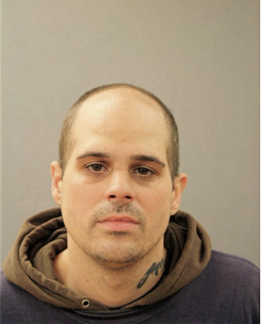 WAYNE M VAN DE CARR, Cook County, Illinois
