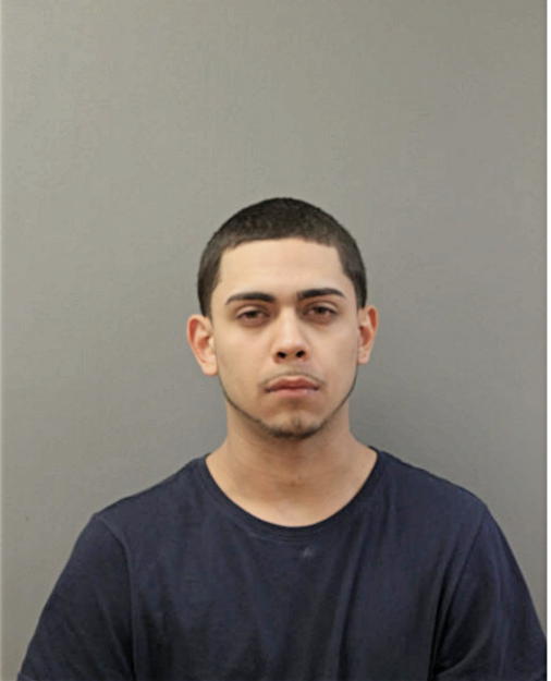 JULIAN J ZAMORA, Cook County, Illinois