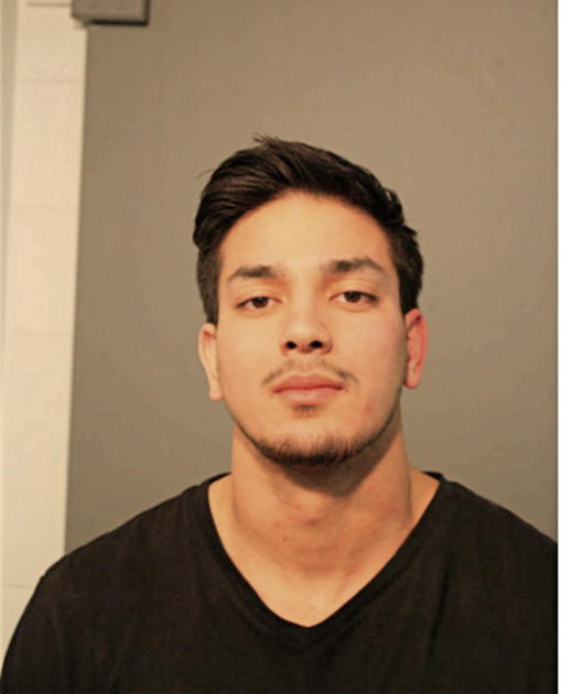 MICHAEL F.M. BETOUNI, Cook County, Illinois